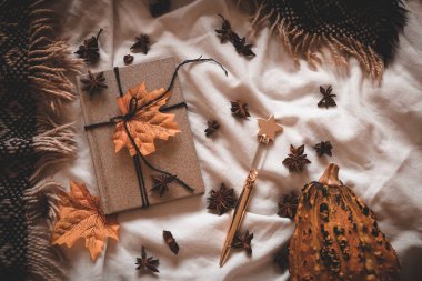 Sonbahar kompozisyonu. Düşen yaprakların, battaniyenin ve anasonun yanında beyaz arka planda bir defter. Sıcak ve samimi tonlarda