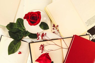 Kırmızı gül, açık kitapların ve beyaz arka plan üzerine kapalı kitapların yanında. Sant Jordi ya da Sevgililer Günü için mükemmel..