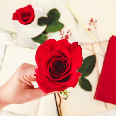 Açık kitapların yanında kırmızı bir gül ve beyaz arkaplan üzerine kapalı kitaplar tutuyor. Sant Jordi ya da Sevgililer Günü için mükemmel.