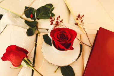 Kırmızı gül, açık kitapların ve beyaz arka plan üzerine kapalı kitapların yanında. Sant Jordi ya da Sevgililer Günü için mükemmel..