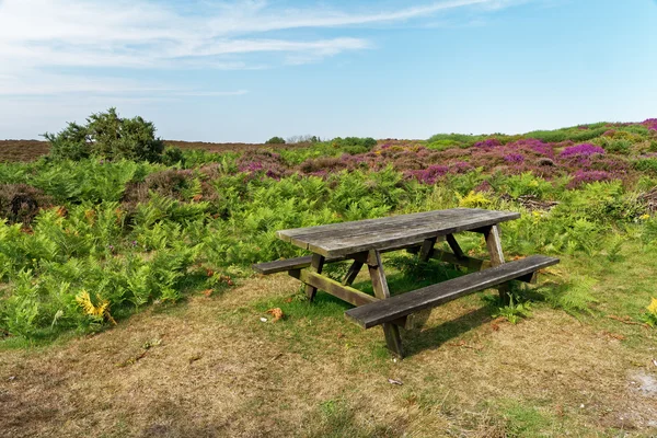 Lanskap dengan moorland dan meja piknik kayu — Foto Stok Gratis