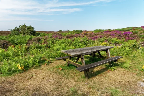 Paisagem com charneca e uma mesa de piquenique de madeira — Fotos gratuitas