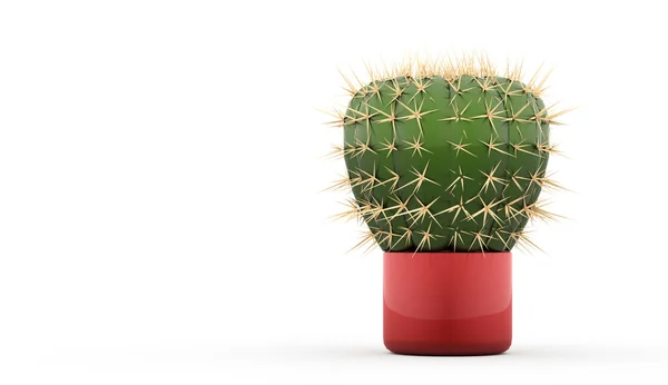 Cactus rendered — Stock Photo, Image