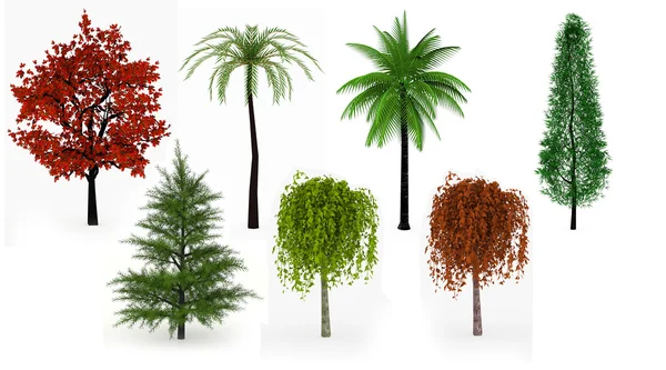 Veel bomen palmen, lommerrijke en naaldbossen geïsoleerd — Stockfoto
