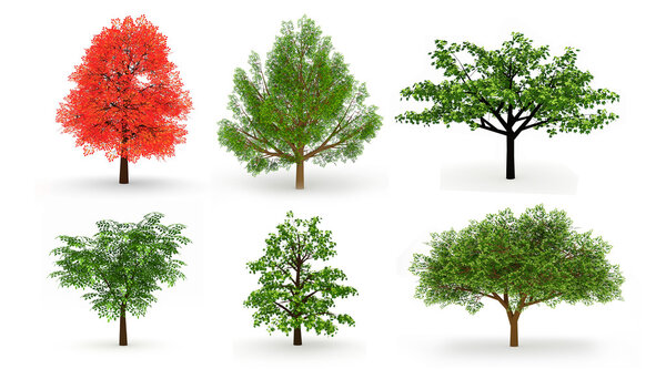 Set of six trees