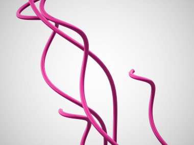 Özet satırları, işlenen sarmal kavramı