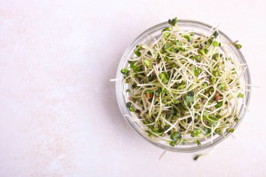 Beyaz arka planda cam kasede turp yeşili..