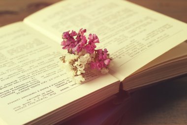 Kuru çiçekler ve kitap