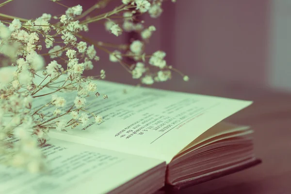 Dried flowers and book — Stock Photo, Image