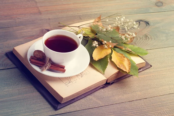 Una taza de té y un libro — Foto de Stock