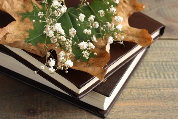 Buch mit Herbstblättern — Stockfoto