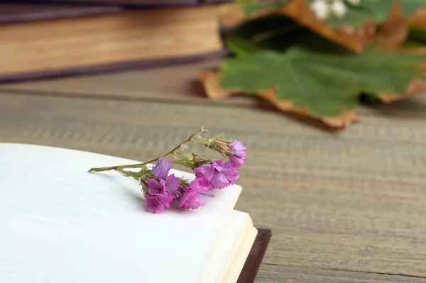 Buch mit getrockneten Blumen — Stockfoto