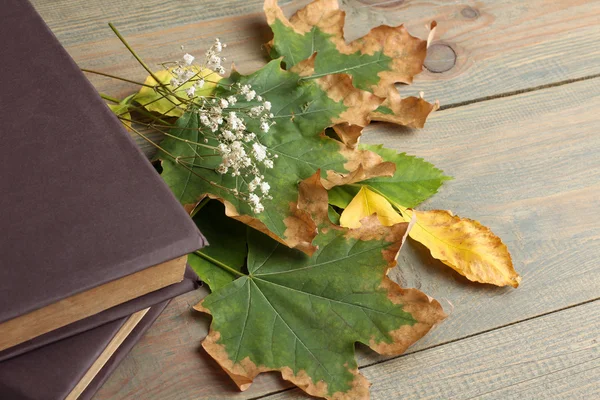 Książki z liści jesienią — Zdjęcie stockowe
