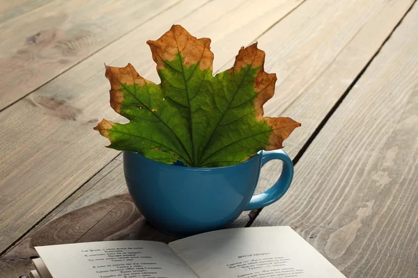 Buch mit Herbstblättern — Stockfoto