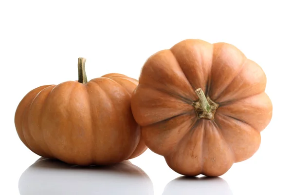 Calabaza — Foto de Stock