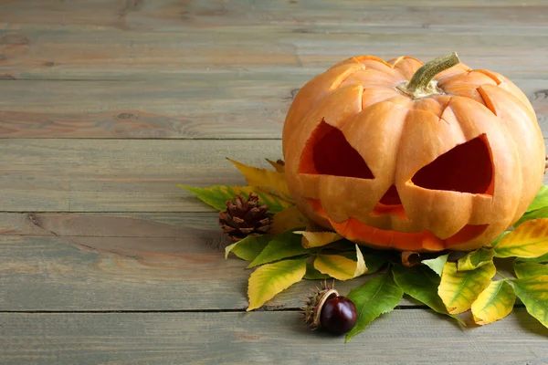 Halloween. — Fotografia de Stock