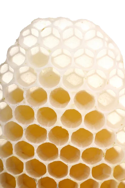 Honeycomb close up — стоковое фото