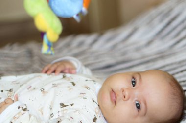 Renkli oyun minderi ve spor salonunda çıngıraklı oyuncaklarla oynayan sevimli bir erkek bebek. Çocuk aktivitesi ve çocuk gelişimi için oyun merkezi. Beyaz güneşli kreşte yeni doğmuş bir çocuk oyuncağı tekmeliyor ve kapıyor. Yüksek kalite fotoğraf