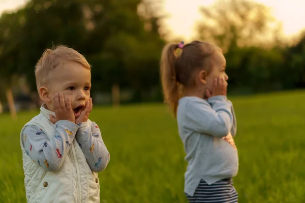Moderskap, spädbarn, sommar, koncept - Två små barn Löpning i park på gräs.Broder och syster visar känslor av förvåning förlägenhet rädsla på en promenad i den friska air.syskon tillsammans utanför — Stockfoto