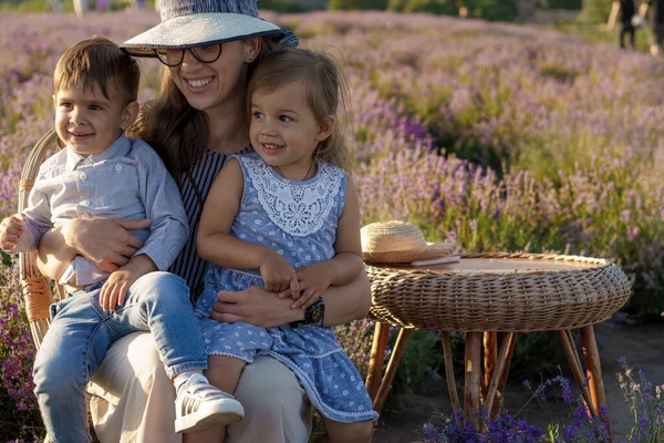 Grande família, paternidade, infância, maternidade, conceito de estilo de provence - a jovem mãe senta-se na cadeira de vime com o menino menino e a filha no campo de lavanda na noite de verão antes do pôr do sol — Fotografia de Stock