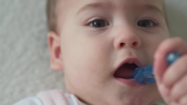 Zuigeling, kindertijd, hygiëne concept - close-up van glimlachend vrolijk grappig mollig gezicht van minderjarige kind wakker. Joy tandloos 7 maanden baby eerste keer poetst tanden met blauwe tandenborstel op witte achtergrond — Stockvideo