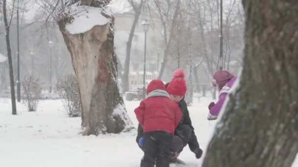 Inverno, vacanza, giochi, concetti di famiglia - Due felici fratelli bambini in età prescolare vestiti con cappelli e guanti con la mamma a giocare rendono la palla di neve in nevicata nella stagione fredda nel parco all'aperto — Video Stock