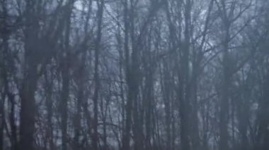 Ulaşım, yol, demiryolu, manzara, yakınlaşma, konsept - kış tipi sırasında karla kaplı doğa manzarası üzerine hızlı tren penceresinden manzara. Demiryolu vasıtasıyla kırsalda seyahat