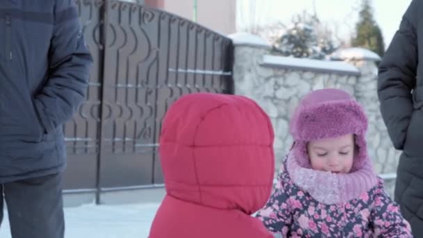 Inverno, vacanza, giochi, concetti di famiglia - Due felici fratelli bambini in età prescolare vestiti con cappelli e guanti con la mamma a giocare rendono la palla di neve in nevicata nella stagione fredda nel parco all'aperto — Video Stock
