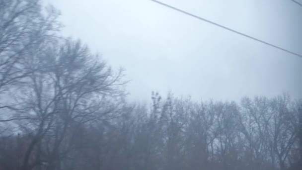 Trasporto, strada, ferrovia, paesaggio, comnication, concetto - vista da finestra di treno di velocità su paesaggio di campo coperto dalla neve naturale e foresta durante bufera di neve invernale. viaggiare in campagna in treno — Video Stock