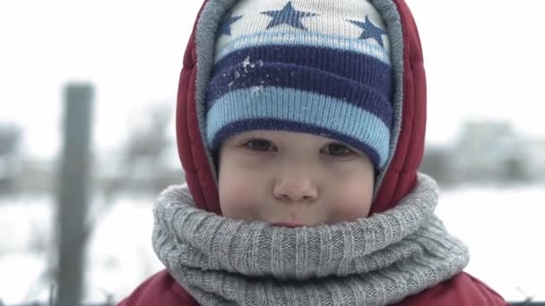 Invierno, vacaciones, juegos, concepto familiar - primer plano auténtico lindo Dos niños pequeños preescolares felices hermanos 2-4 años mirar la sonrisa de la cámara y cantar en tiempo frío en el parque nevado al aire libre — Vídeos de Stock