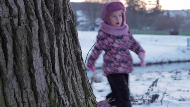Χειμώνας, διακοπές, παιχνίδια, οικογενειακή έννοια - μεσαίο σχέδιο του αυθεντικού μικρού νηπιαγωγείου ελάσσονος 3-4 ετών κορίτσι σε μωβ στο χιόνι που καλύπτονται λιβάδι παίζει με το χιόνι πριν από το ηλιοβασίλεμα. παιδί τρέχει σε χιονισμένη περιοχή — Αρχείο Βίντεο