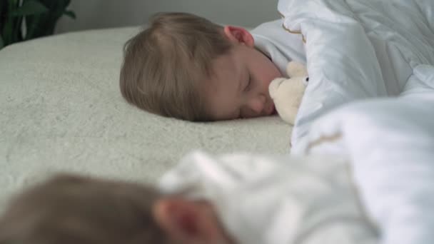 Auténtico primer plano de los niños preescolares simblings lindo niño y niña duermen dulcemente en la cómoda cama blanca con oso de peluche. Cuidado de niños, Bebé dormido, Infancia, La paternidad, concepto de vida. — Vídeos de Stock