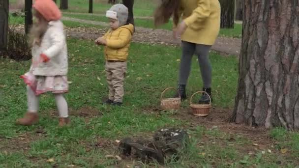 Barndom, familj, moderskap, höst koncept - små barn 2-4 år gammal pojke och flicka med ung söt mamma samla fallna gula lönnlöv från grönt gräs i korg i parken i molnigt väder — Stockvideo