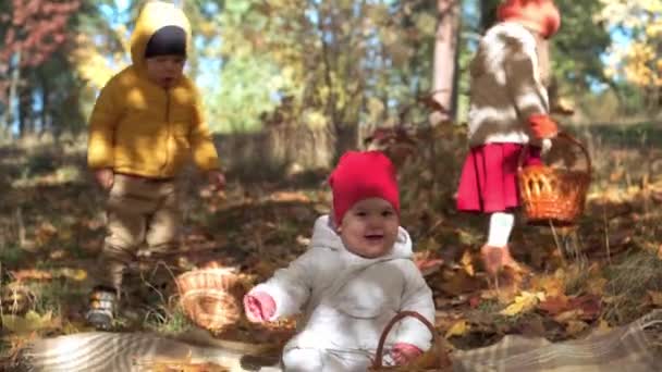 Autentyczne mało słodkie szczęśliwy pulchny biały niemowlę dziewczynka 6-8 miesiąc w czerwonym kapeluszu siedzi na kratę w opadłych liści żółwia w jesiennym parku lub lesie. Jesienią dzieci. Natura, Sezon, Koncepcja dzieciństwa — Wideo stockowe