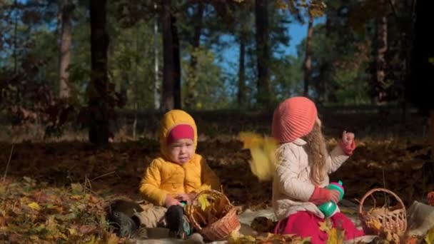 Autentici piccoli simpatici fratelli caucasici prescolastici bambini ragazza e ragazzo in plaid in foglie di giugnoso cadute nel parco autunnale o nella foresta. I bambini hanno passato del tempo in autunno. Natura, Stagione, Concetto d'infanzia — Video Stock