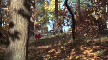 Turuncu bereli 3-4 yaş arası, otantik, küçük, beyaz, beyaz bir kız çocuğu Autumn Park ya da Orman 'da kameraya doğru koşuyor. Sonbaharda çocuklar. Doğa, Mevsim, Çocukluk kavramı