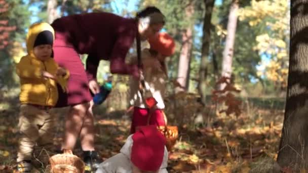 Auténticos niños preescolares caucásicos poco lindo niño niña bebé en hojas de color amarillo caído en el parque de otoño o bosque. Los niños juegan y pasan tiempo con mamá. Familia en otoño. Naturaleza, concepto de infancia — Vídeos de Stock