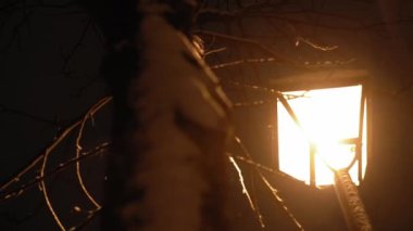 Gece parkında inanılmaz yavaş kar yağışı var. Arka planda fener var. Kışın erken saatlerinde çekilen çekim. Meteoroloji, Hava Durumu, Doğal Fenomen, Mutlu Noeller ve Yeni Yıl Konsepti