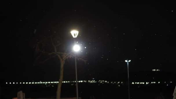 Verbazingwekkende sneeuwval 's nachts stadspark op heldere licht lantaarn achtergrond vroege winter pan shot. Stadsgezicht in de avond. Meteorologie, Weer, Natuurverschijnselen, Vrolijk Kerstfeest en Gelukkig Nieuwjaar Concept — Stockvideo