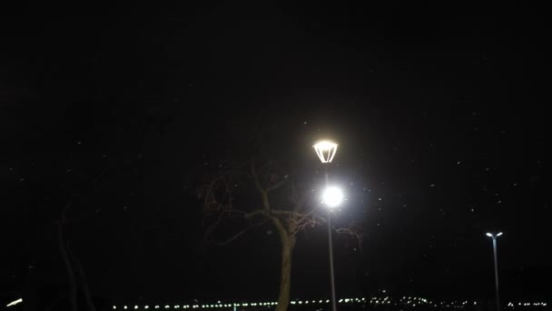 Amazing snowfall at night city park on bright light lantern background early winter pan shot. paisagem urbana à noite. Meteorologia, Tempo, Fenômenos Naturais, Feliz Natal e Feliz Ano Novo Conceito — Vídeo de Stock