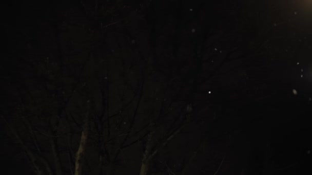 Niesamowite opady śniegu w nocnym parku miejskim na jasnym świetle latarni tle wczesna zima Pan strzał. Wieczorem miejski krajobraz. Meteorologia, Pogoda, Zjawiska naturalne, Wesołych Świąt i Szczęśliwego Nowego Roku koncepcja — Wideo stockowe