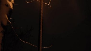 Gece parkında inanılmaz yavaş kar yağışı var. Arka planda fener var. Kışın erken saatlerinde çekilen çekim. Meteoroloji, Hava Durumu, Doğal Fenomen, Mutlu Noeller ve Yeni Yıl Konsepti