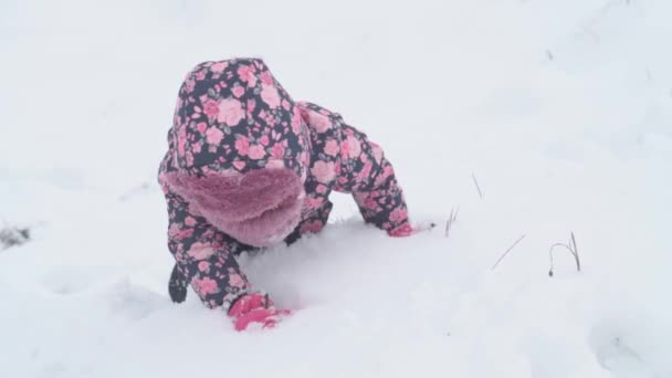 Slo-mo auténtica niña preescolar feliz en sombrero y manoplas se arrastran a cuatro patas en la nieve y cae sobre la espalda. nevadas en temporada fría en invierno al aire libre. vocación, juego, concepto de infancia — Vídeos de Stock
