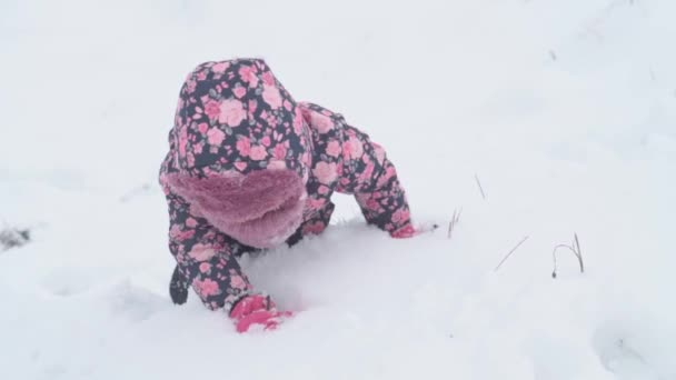 Slo-mo autentico felice bambino in età prescolare bambina con il cappello e guanti strisciano a quattro zampe nella neve e cade sul retro. nevicate nella stagione fredda tempo in inverno all'aperto. vocazione, gioco, concetto di infanzia — Video Stock