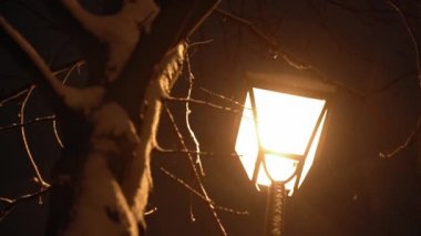 Gece parkında inanılmaz yavaş kar yağışı var. Arka planda fener var. Kışın erken saatlerinde çekilen çekim. Meteoroloji, Hava Durumu, Doğal Fenomen, Mutlu Noeller ve Yeni Yıl Konsepti