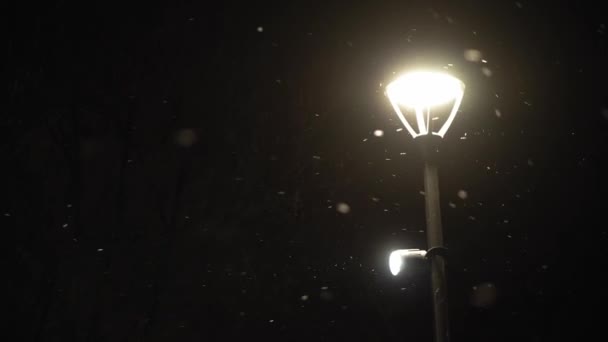 Csodálatos hóesés éjszaka city park fényes fény lámpás háttér korai téli pan lövés. Városi táj este. Meteorológia, időjárás, természeti jelenségek, boldog karácsonyt és boldog új évet koncepció — Stock videók