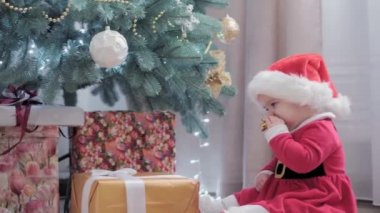 Noel Baba şapkası takan, kırmızı elbiseli, mutlu, mutlu, tombul bir kız çocuğu. Yeni yıl atmosferini kutlarken evdeki Noel ağacının yanında iyi eğlenceler. Çocukluk, bayram, kış konsepti