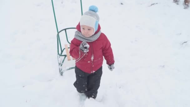 Vacaciones, juego, concepto de familia - slo-mo auténtica Un niño en edad preescolar feliz en sombreros calientes, mitones trineo tirar trineo de la nieve en la colina de diapositivas. nevadas en clima frío en el parque de invierno al aire libre — Vídeos de Stock