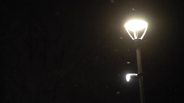 Csodálatos hóesés éjszaka city park fényes fény lámpás háttér korai téli pan lövés. Városi táj este. Meteorológia, időjárás, természeti jelenségek, boldog karácsonyt és boldog új évet koncepció — Stock videók
