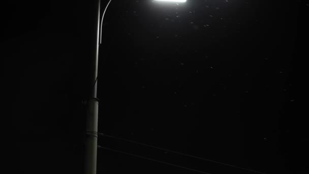Geweldige sneeuwval 's nachts stadsweg op lantaarn achtergrond in de vroege winter. Stadsgezicht in de avond. Mensen haasten zich naar huis op kerstavond. Weer, Natuurverschijnselen, Gelukkig Nieuwjaar, Stedelijk vervoer — Stockvideo